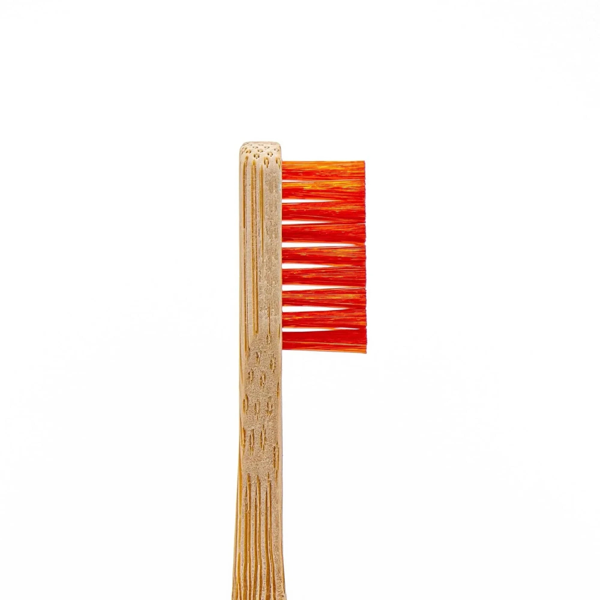 Rengöringsborstar 2-pack