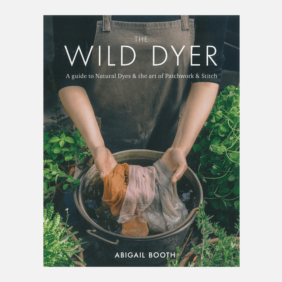 The Wild Dyer - Knappnålen